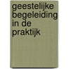 Geestelijke begeleiding in de praktijk door William J. Connolly