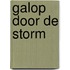 Galop door de storm