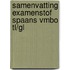 Samenvatting Examenstof Spaans VMBO TL/GL