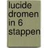 Lucide dromen in 6 stappen