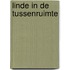 Linde in de tussenruimte