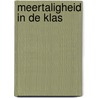 Meertaligheid in de klas door Steven Delarue