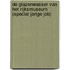 De glazenwasser van het Rijksmuseum (Special Jarige Job)