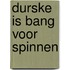 Durske is bang voor spinnen
