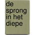 De sprong in het diepe