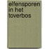 Elfensporen in het toverbos
