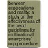 Between Expectations and Reality: A Study on the Effectiveness of the OECD Guidelines for Multinational Enterprises’ NCP Procedure