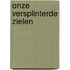 Onze versplinterde zielen