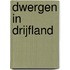 DWERGEN IN DRIJFLAND