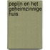 Pepijn en het geheimzinnige huis