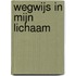 Wegwijs in mijn lichaam