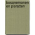 Bosanemonen en pisratten