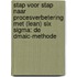 Stap voor stap naar procesverbetering met (Lean) Six Sigma: de DMAIC-methode