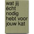 Wat jij écht nodig hebt voor jouw kat