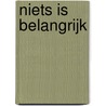Niets is belangrijk door Krijn van der Heijden