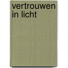Vertrouwen in licht door Willy Troch