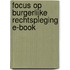 Focus op Burgerlijke rechtspleging E-book